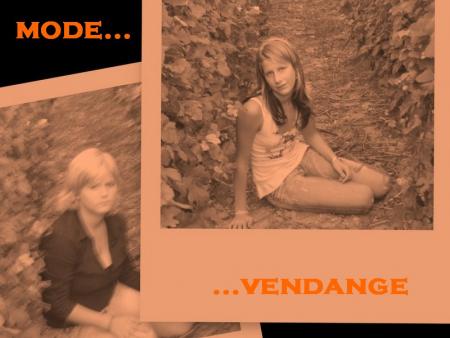 les vendanges